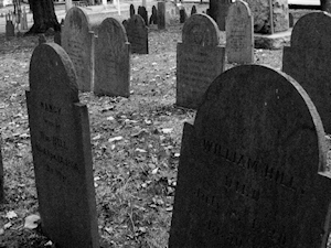 Cemetery - Julia Rios photo