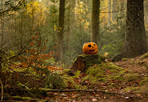 Halloween - pixabay