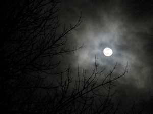 Werewolf Moon - Geoffrey A. Landis photo 