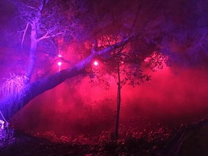 a tree branch with red fog and red lights behind it